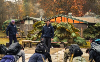 Welke Van De 12 Leiderschapsstijlen Past Bij Jou?